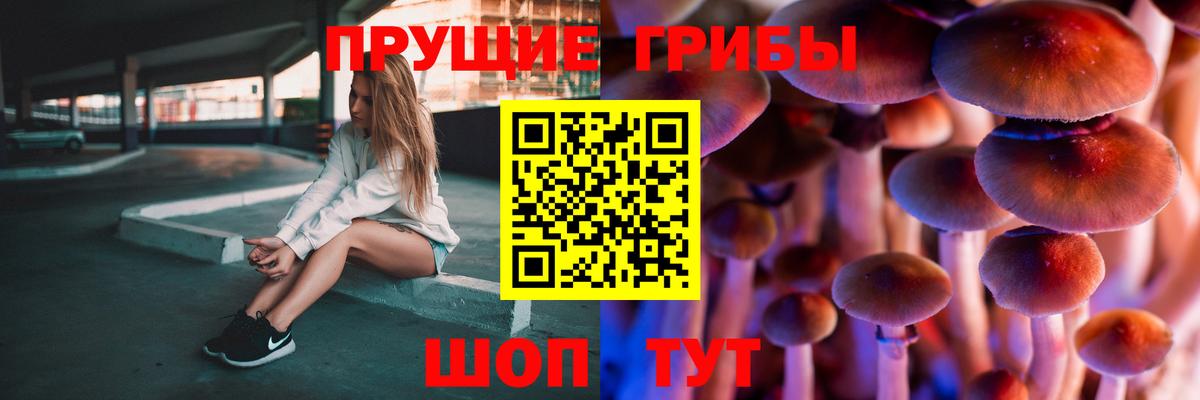 Саяногорск  Галлюциногенные грибы Cubensis  купить   Псилоцибиновые грибы мухоморы  Вход с VPN 